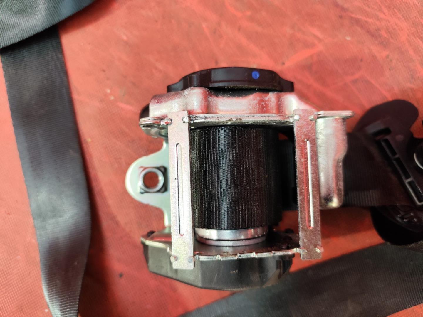 Ремень безопасности