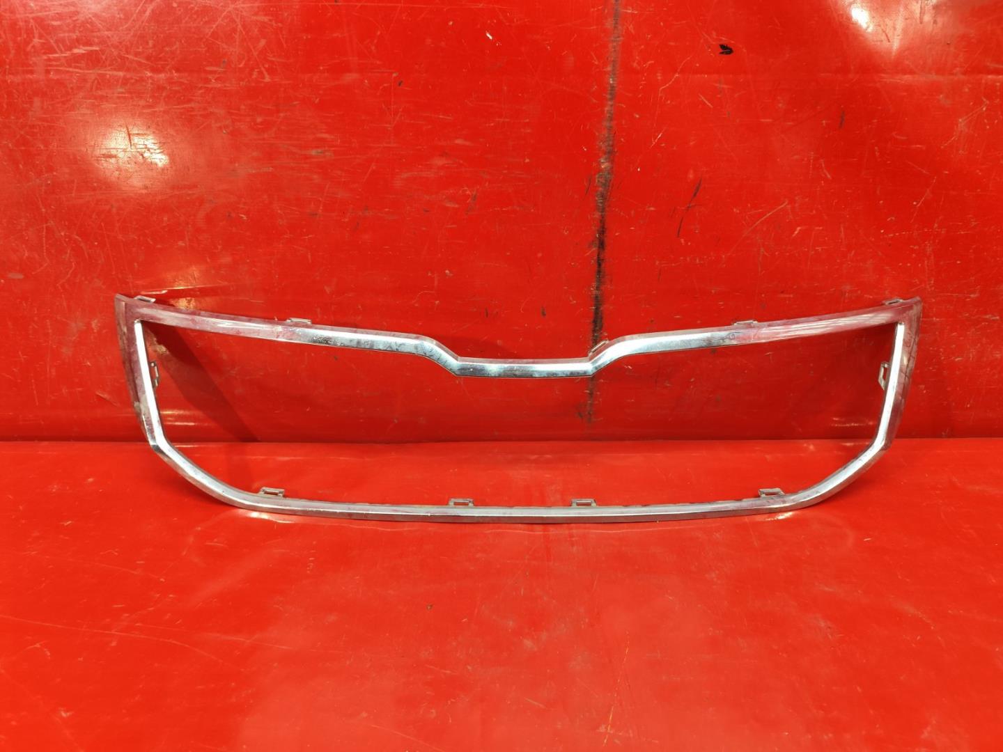 Накладка на решетку радиатора