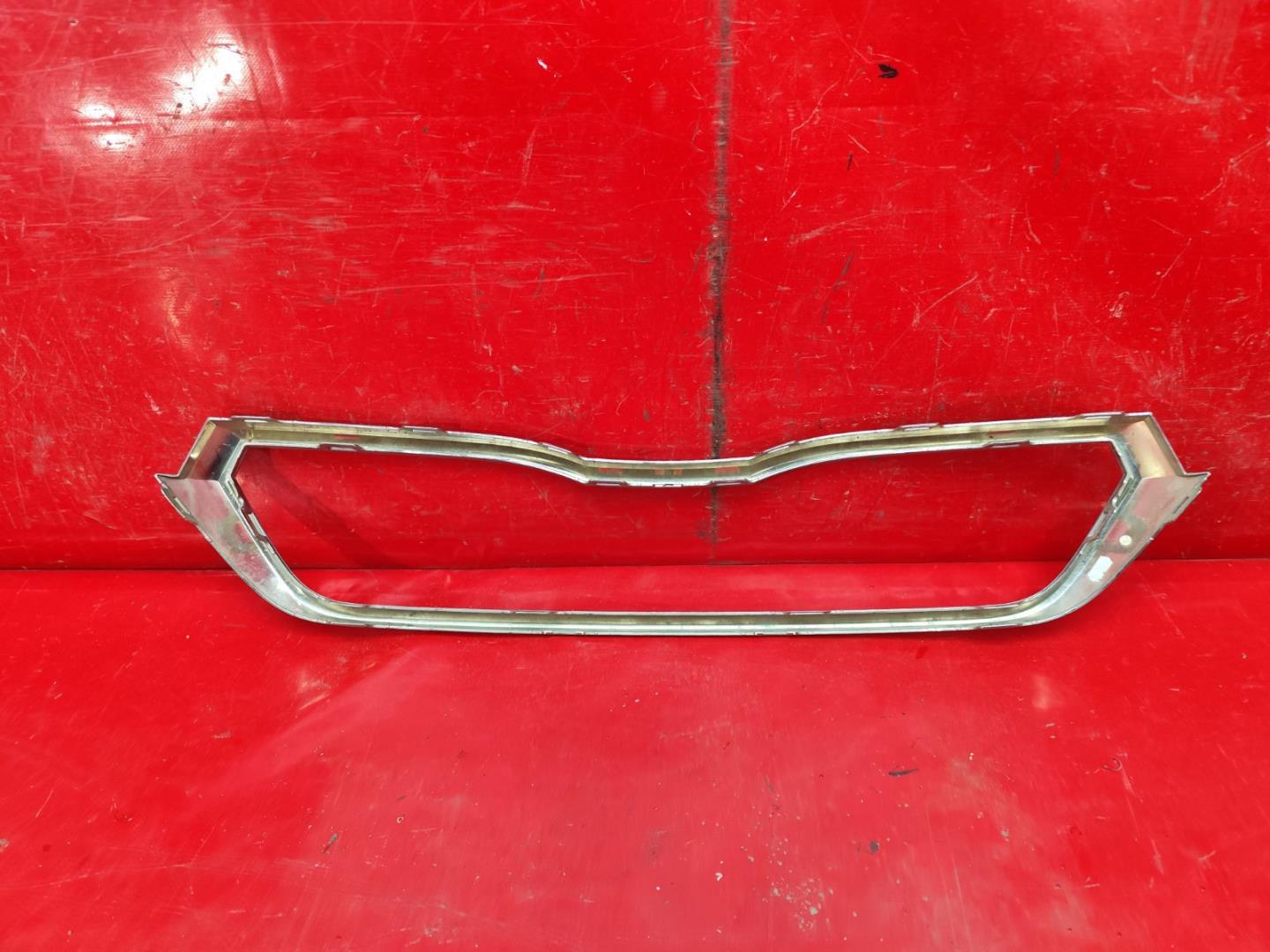 Накладка на решетку радиатора