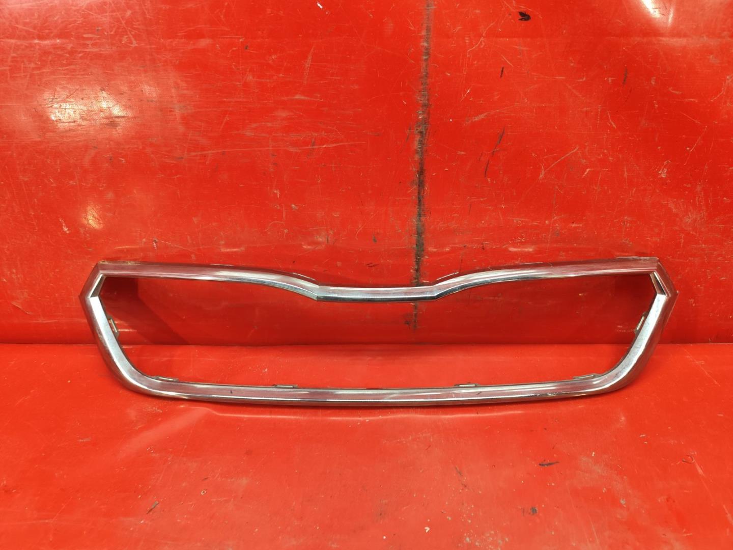 Накладка на решетку радиатора