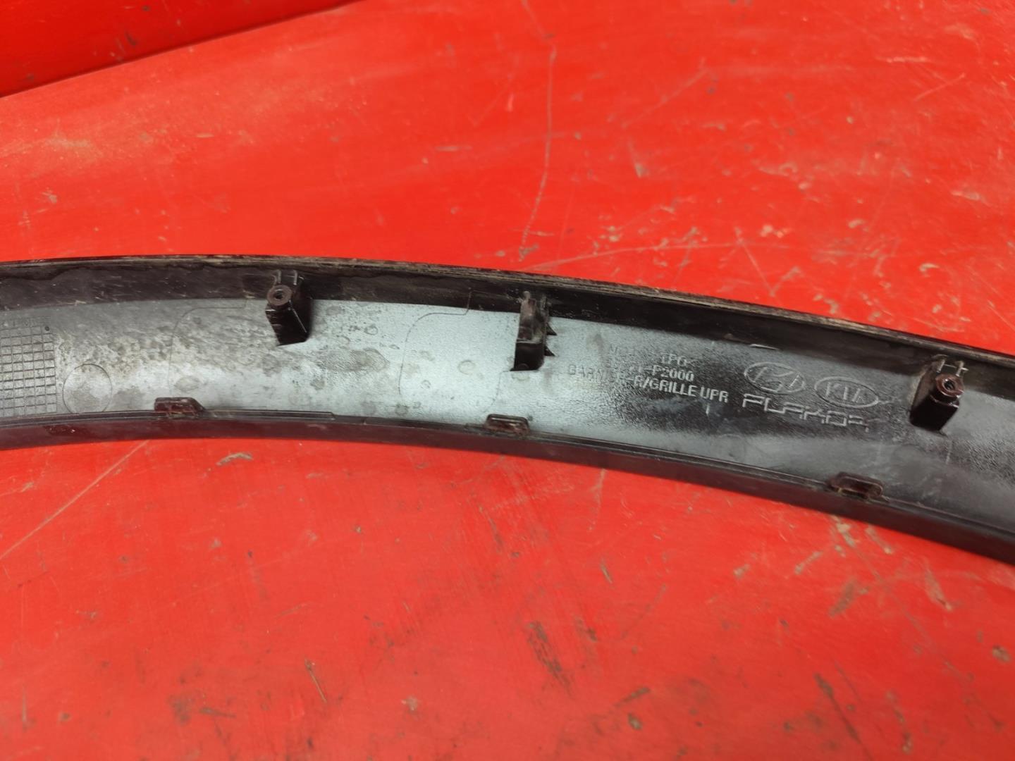 Накладка на решетку радиатора