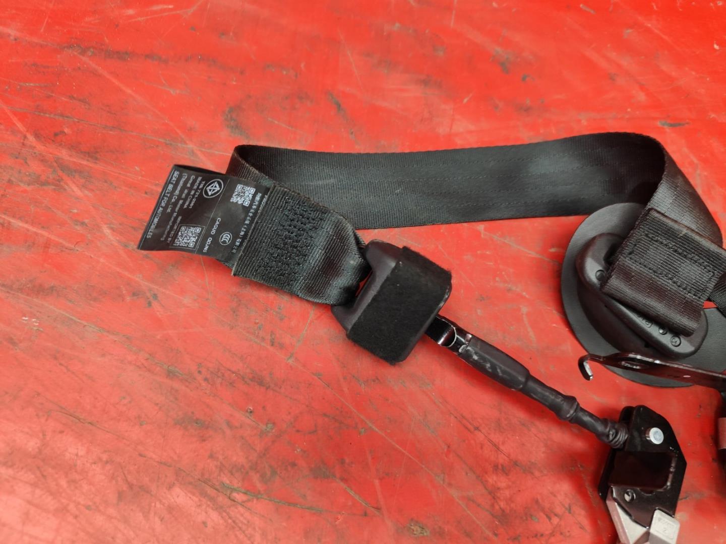 Ремень безопасности