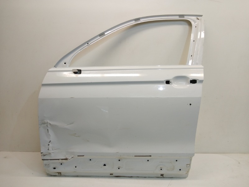 Дверь передняя левая