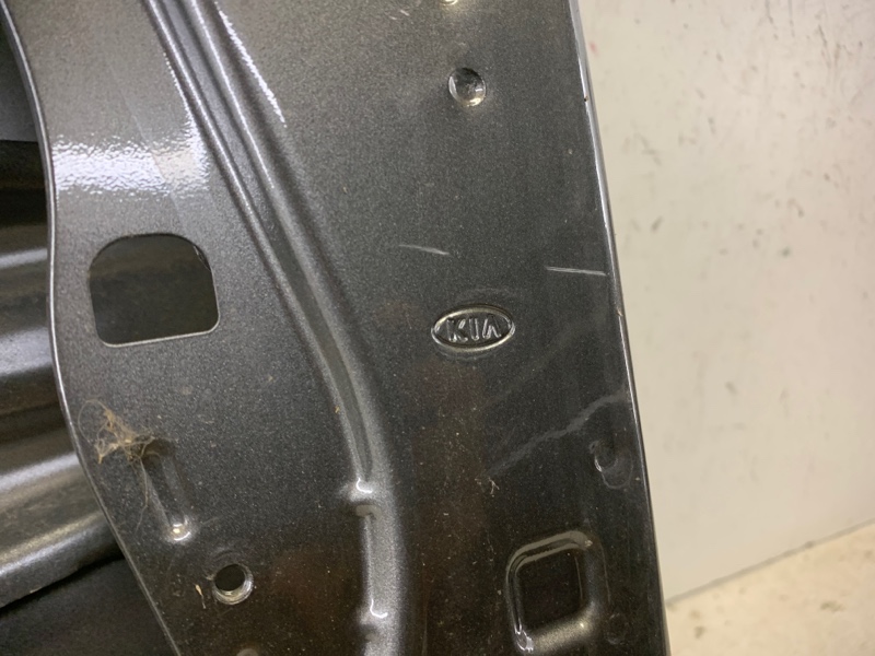 Дверь передняя левая