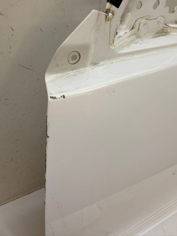 Дверь передняя левая