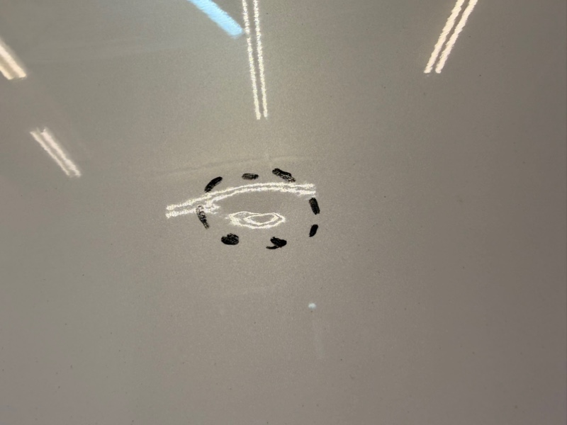 Дверь передняя левая