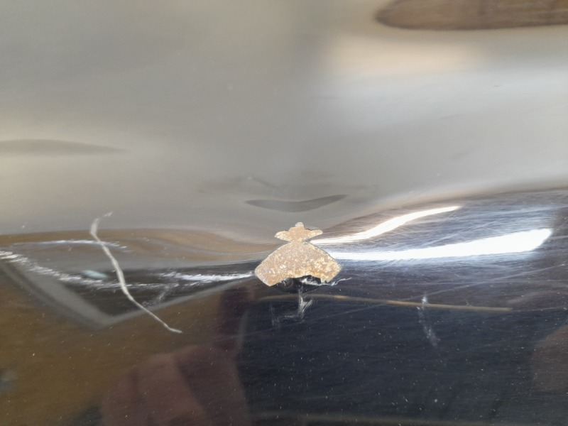 Крыло переднее левое