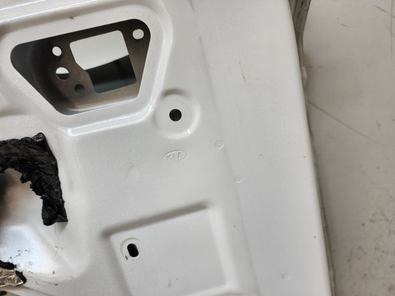 Дверь передняя левая