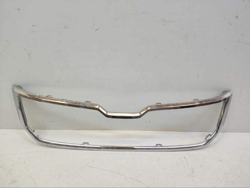 Накладка на решетку радиатора