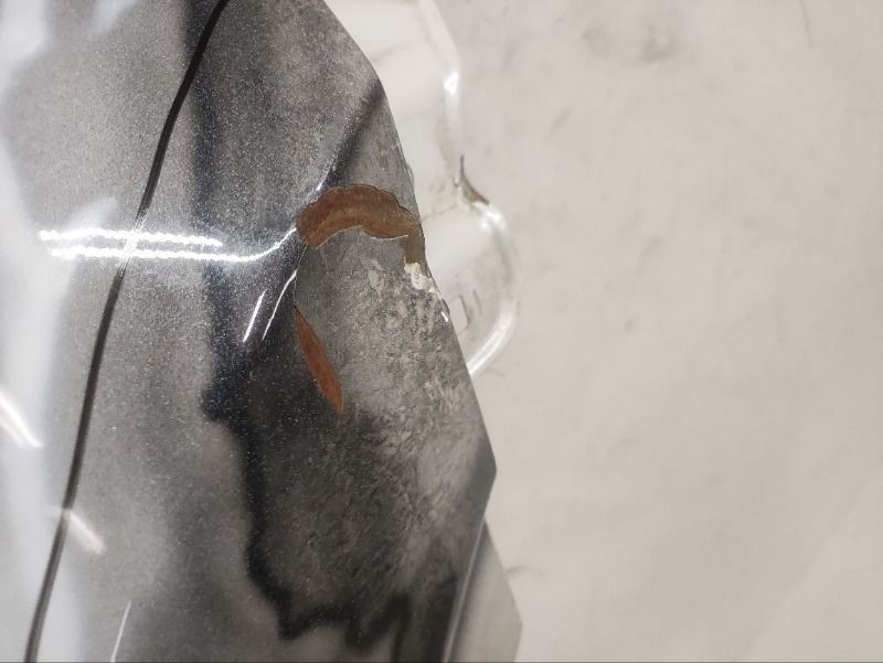 Крыло переднее правое