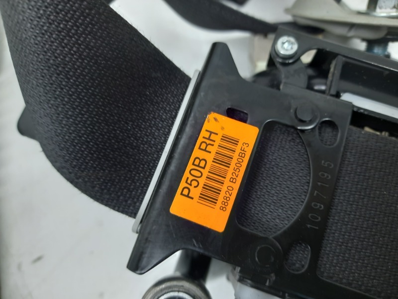 Ремень безопасности