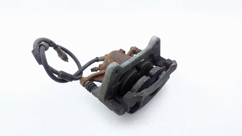 AP-0015271981 AP-0015271981