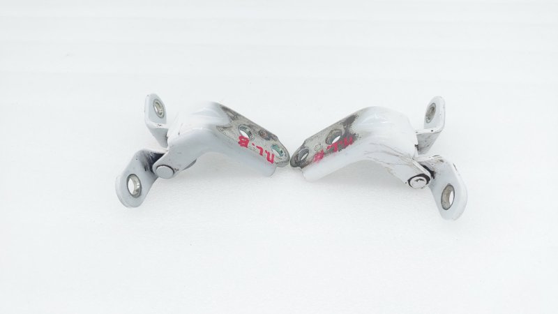 AP-0016349359 AP-0016349359