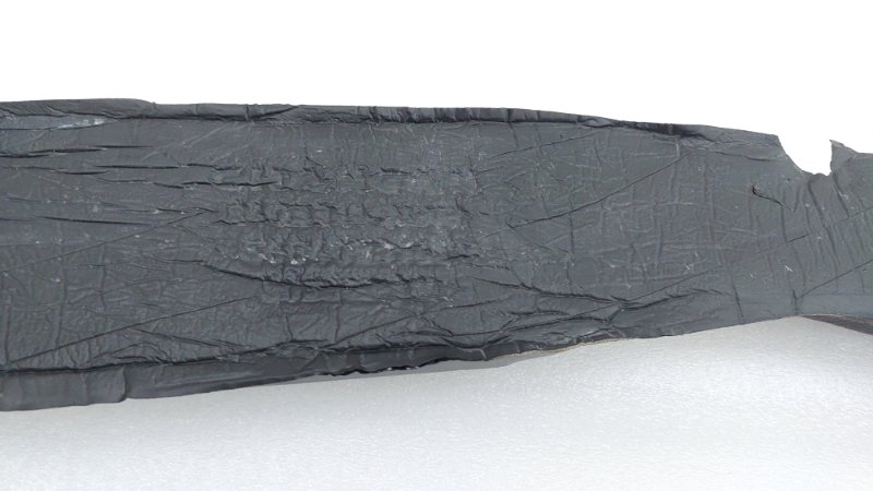  AP-0017924502
