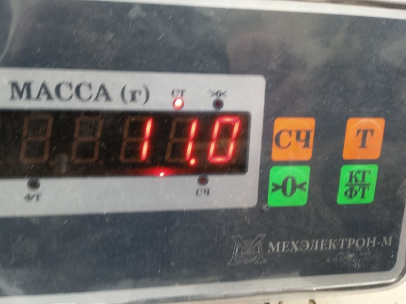 Защита картера