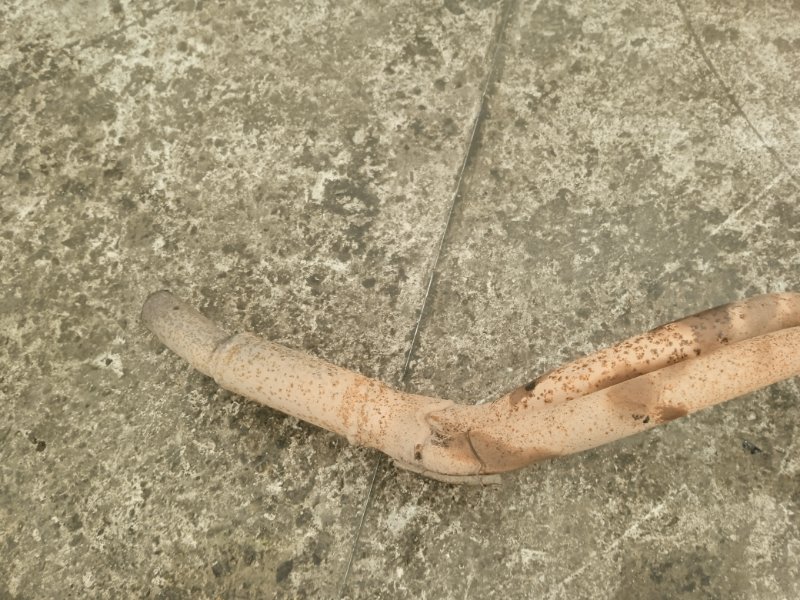 Коллектор выпускной