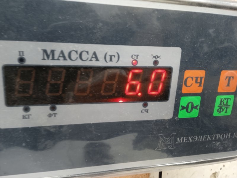 Торсион