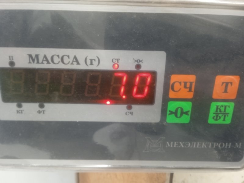 Торпедо