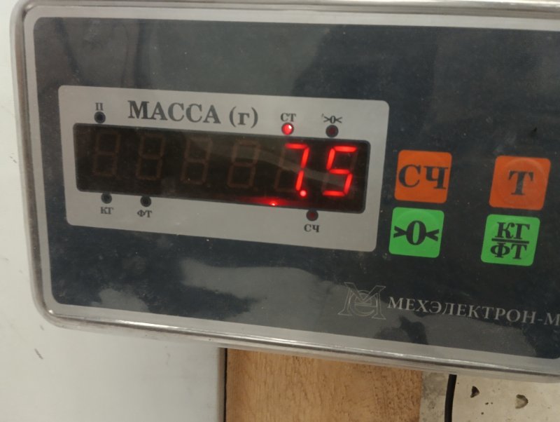 Торпедо