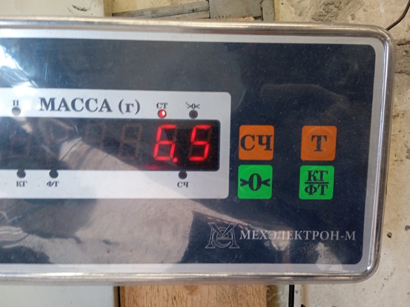 Усилитель торпедо