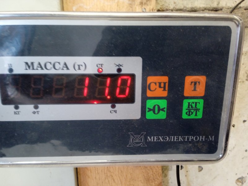 Защита картера