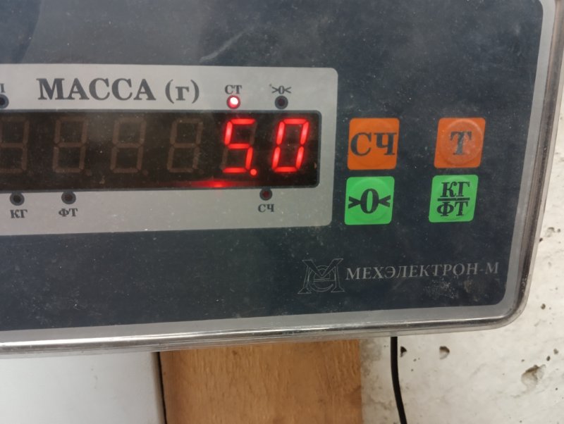 Торпедо
