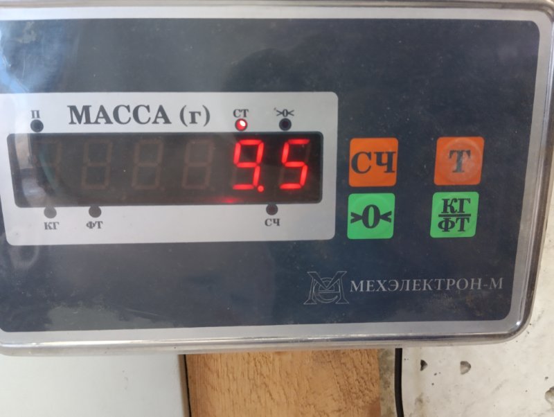 Торпедо