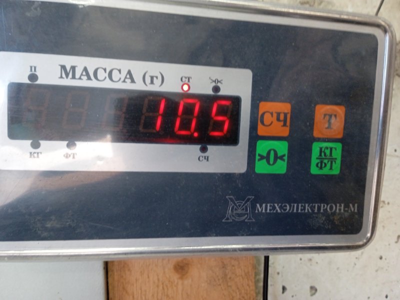 Защита картера