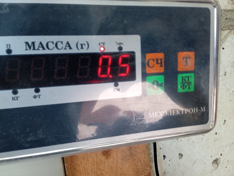 Накладка заднего крыла правого