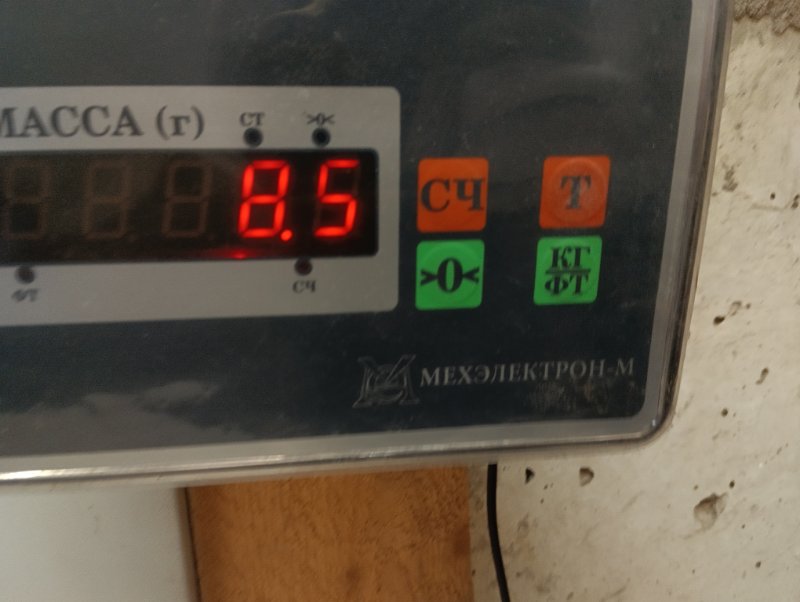 Торпедо