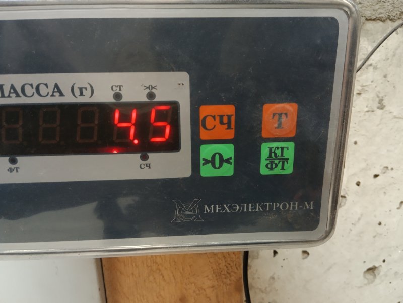 Торпедо
