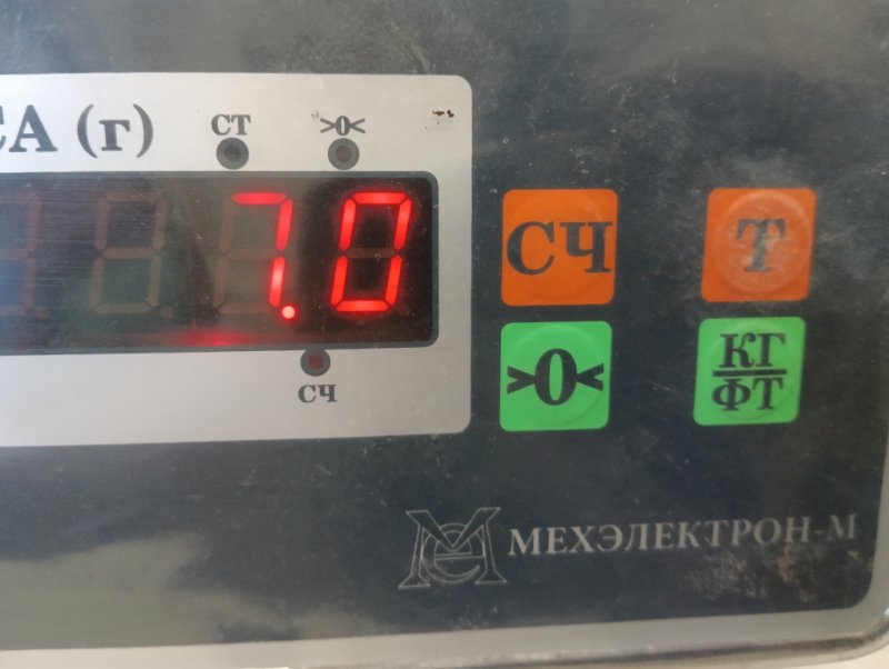 Торпедо