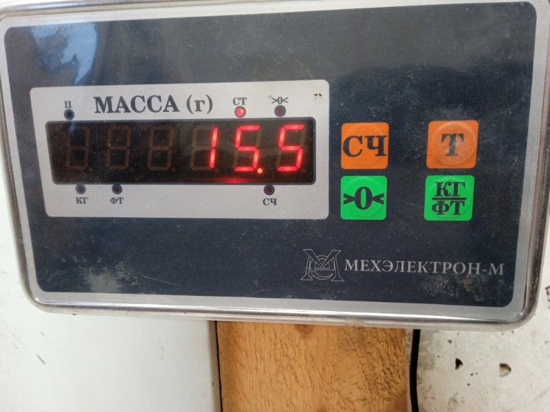 Торпедо