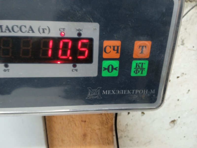 Торпедо