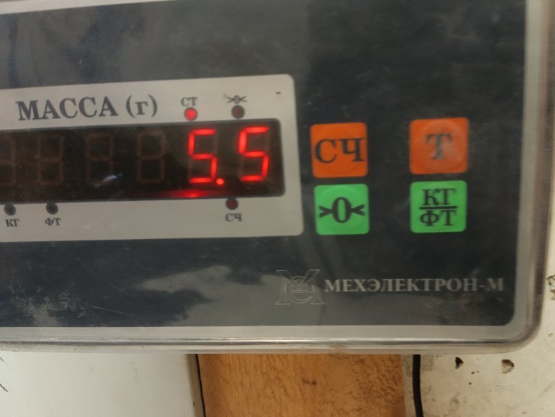 Торпедо