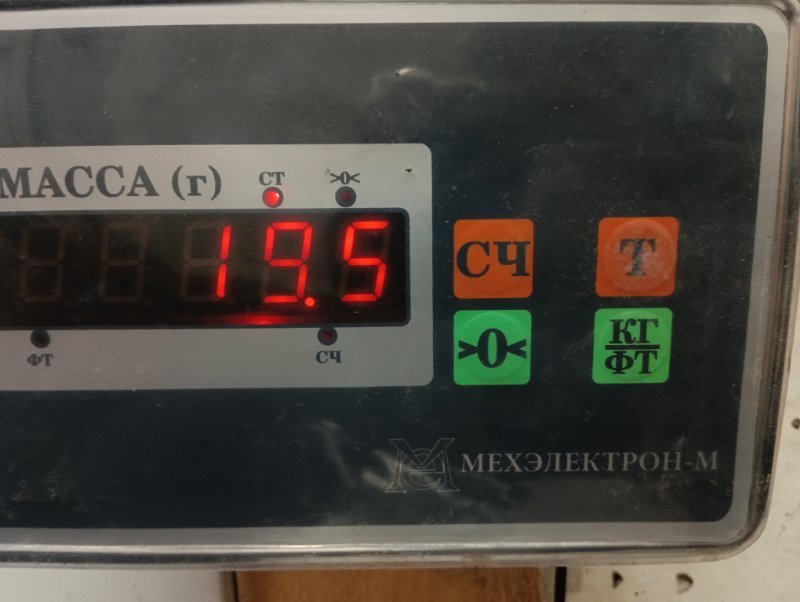 Торпедо