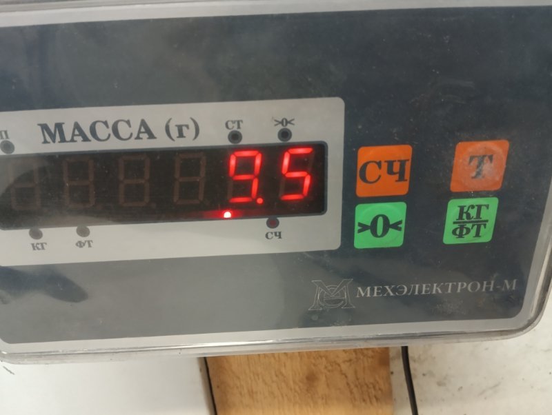 Торпедо