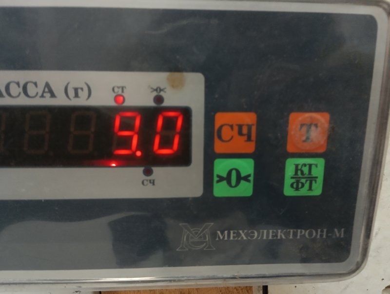 Торпедо