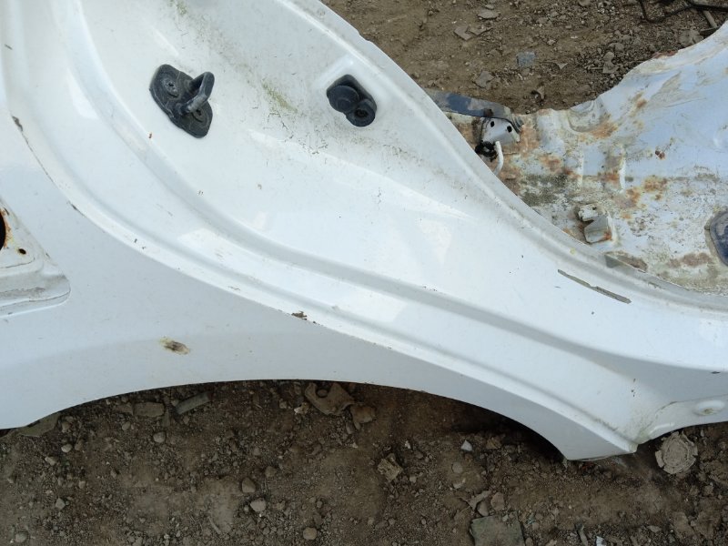 Крыло заднее правое