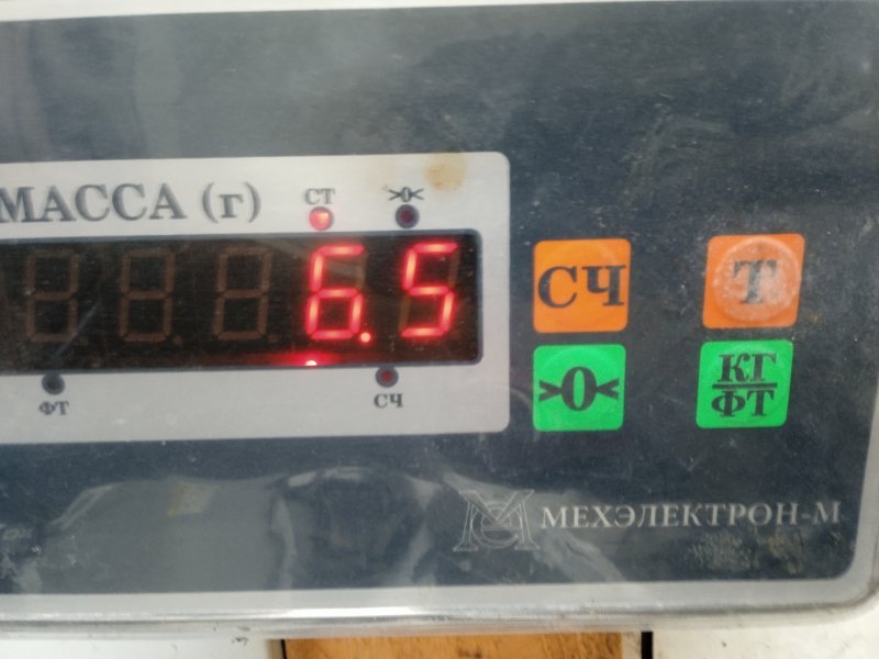 Торпедо