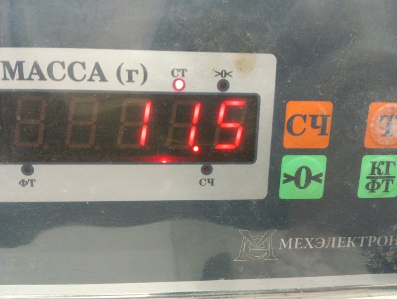 Торпедо