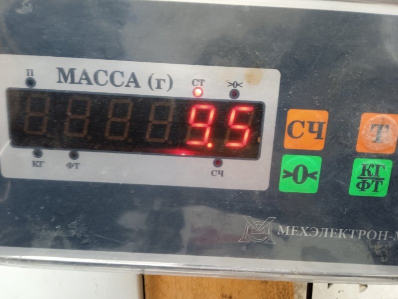 Торпедо