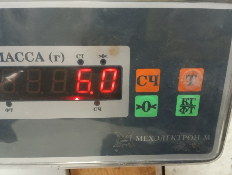 Торпедо