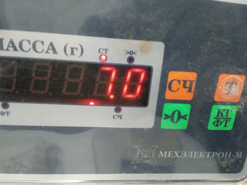 Торпедо