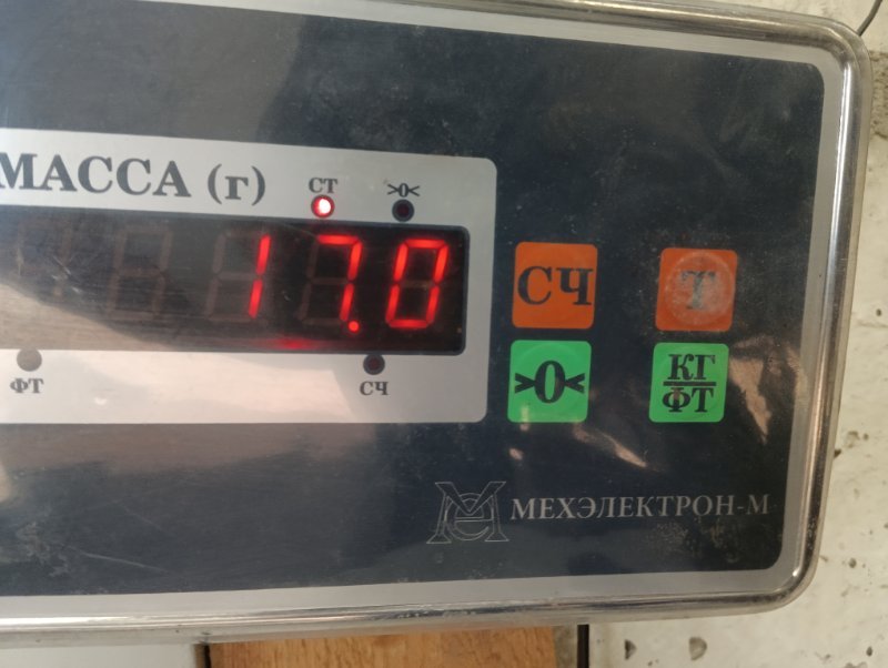 Торпедо
