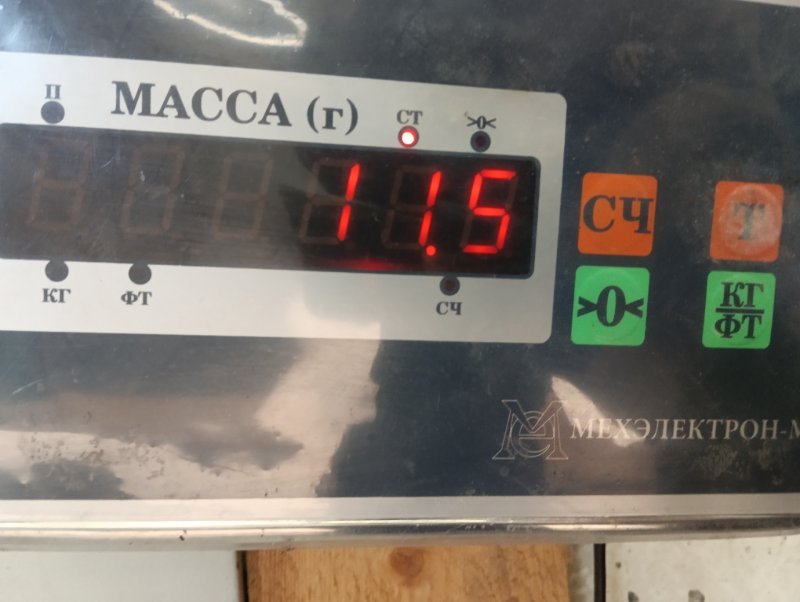 Торпедо
