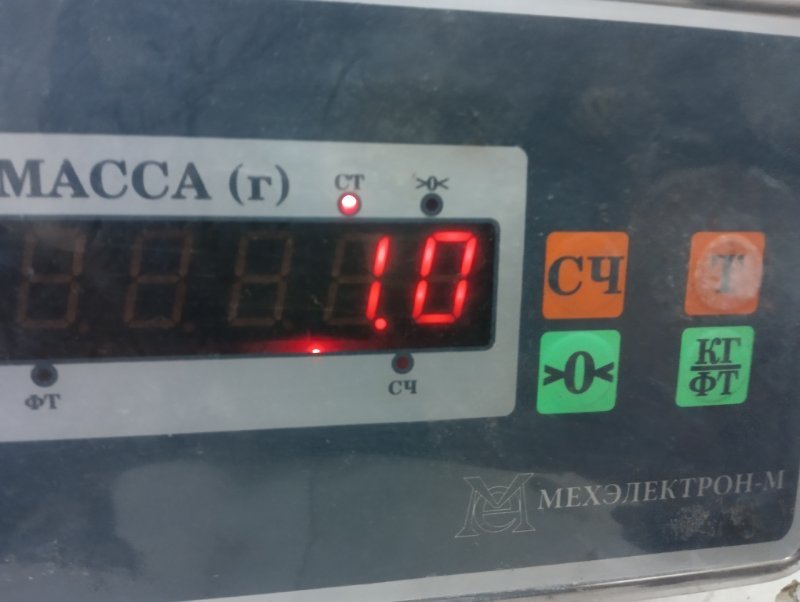 Решетка стеклоочистителей (Жабо)