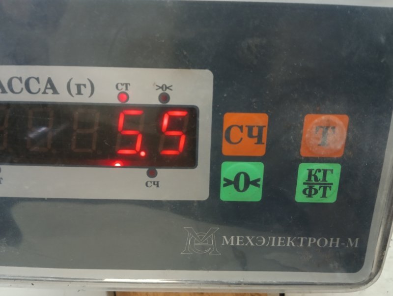 Торпедо
