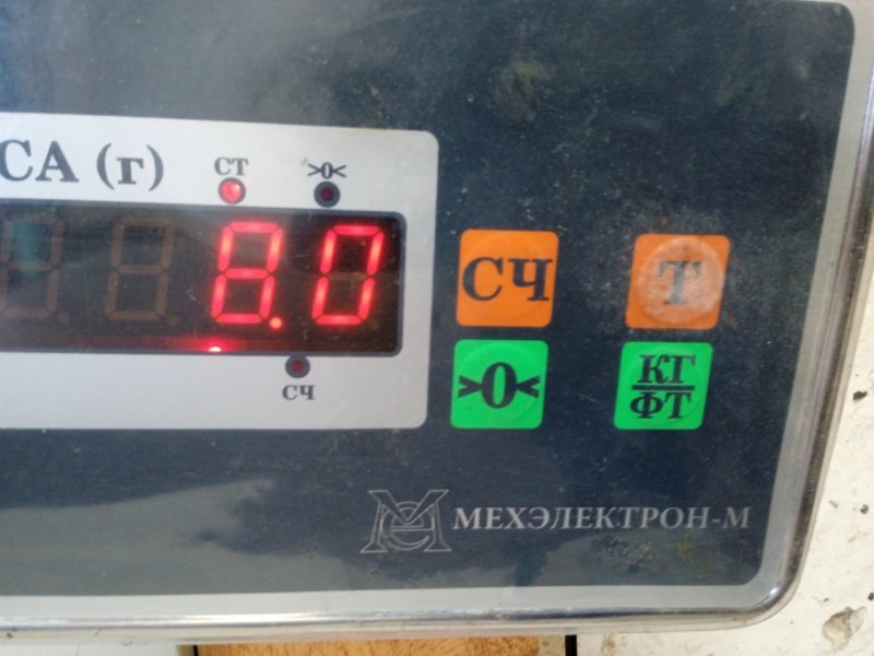 Торпедо