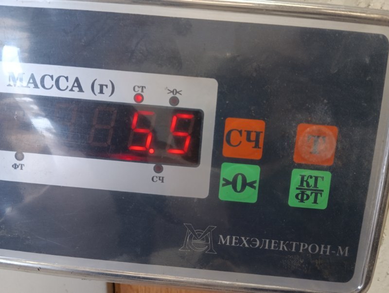 Торпедо